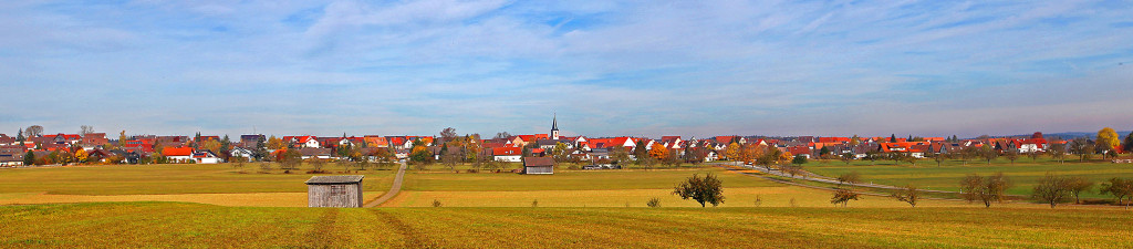 Panoramabild Gemeinde Neuhausen ob Eck